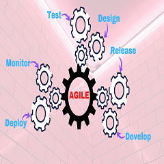 Agile consulting methodology