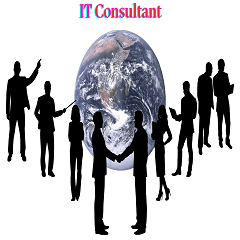 IT Consultant
