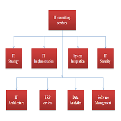 IT Consulting Services Provider